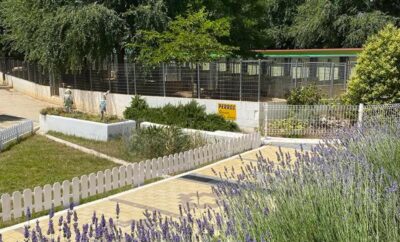 Granja la Luna | Residencia Canina campestre