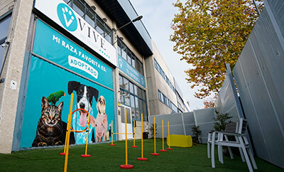 Vive Pet San Sebastián | Guarderia y hotel para perros en Madrid
