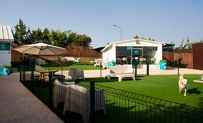 VivePetResort | Resort para mascotas en Madrid
