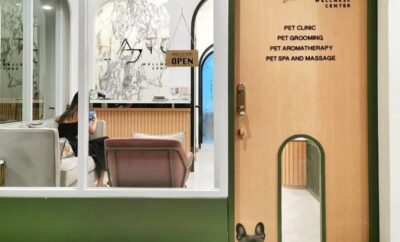 Eli’s Puppy Hotel | Hotel boutique canino | Madrid