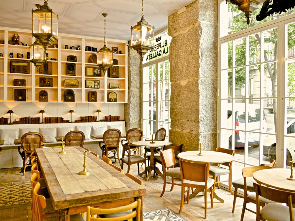 lugares petfriendly en madrid