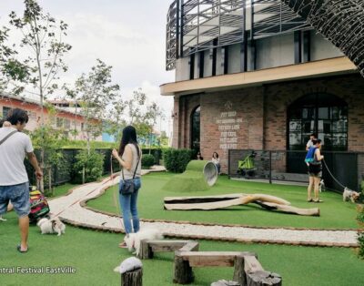El Tomillar | Residencia para mascotas en Madrid