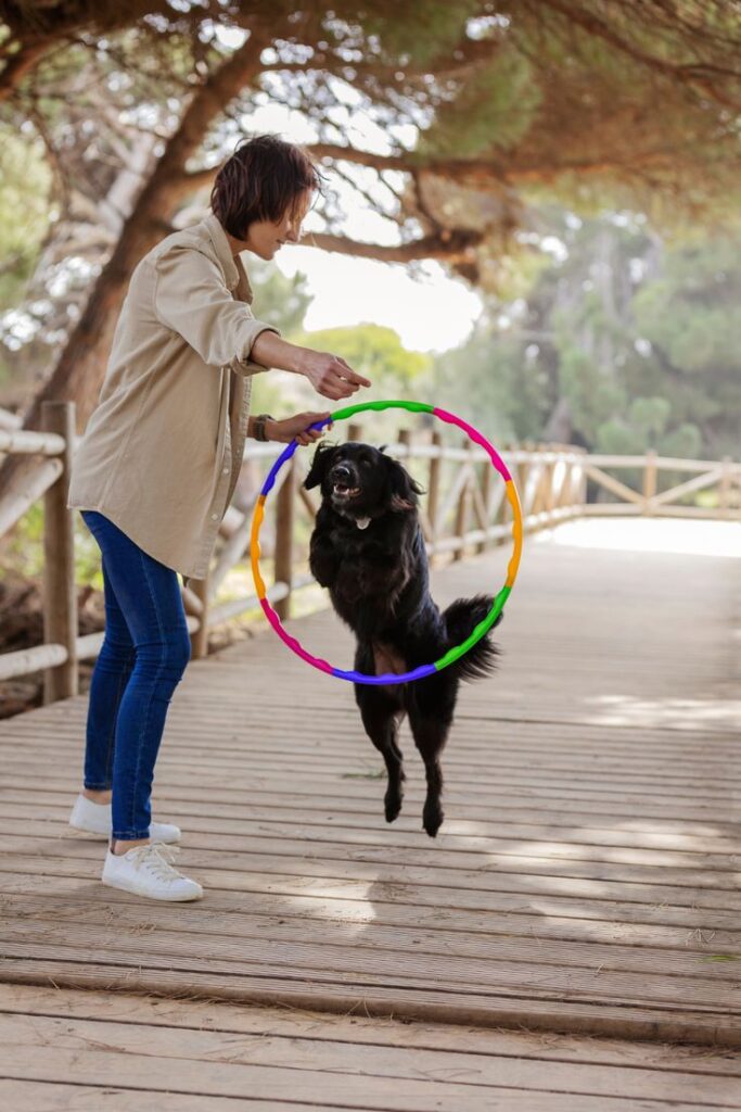 hoteles dog friendly