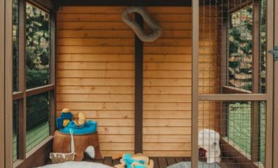 Sol y Can – Hotel Canina campestre | Madrid