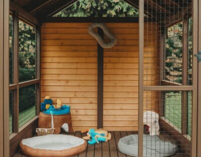 Sol y Can – Residencia Canina campestre | Madrid