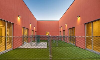 Residencia Canina 3 Patas | Alojamiento para Perros en Madrid