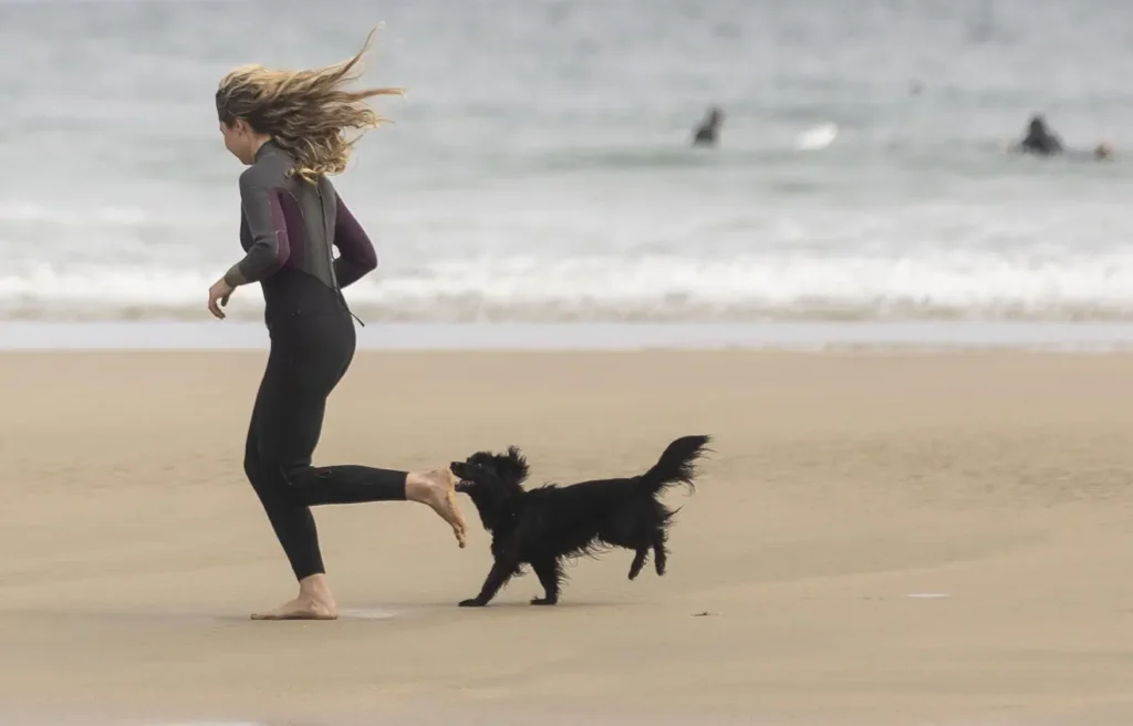 Playa de Llevant Barcelona pets friendly