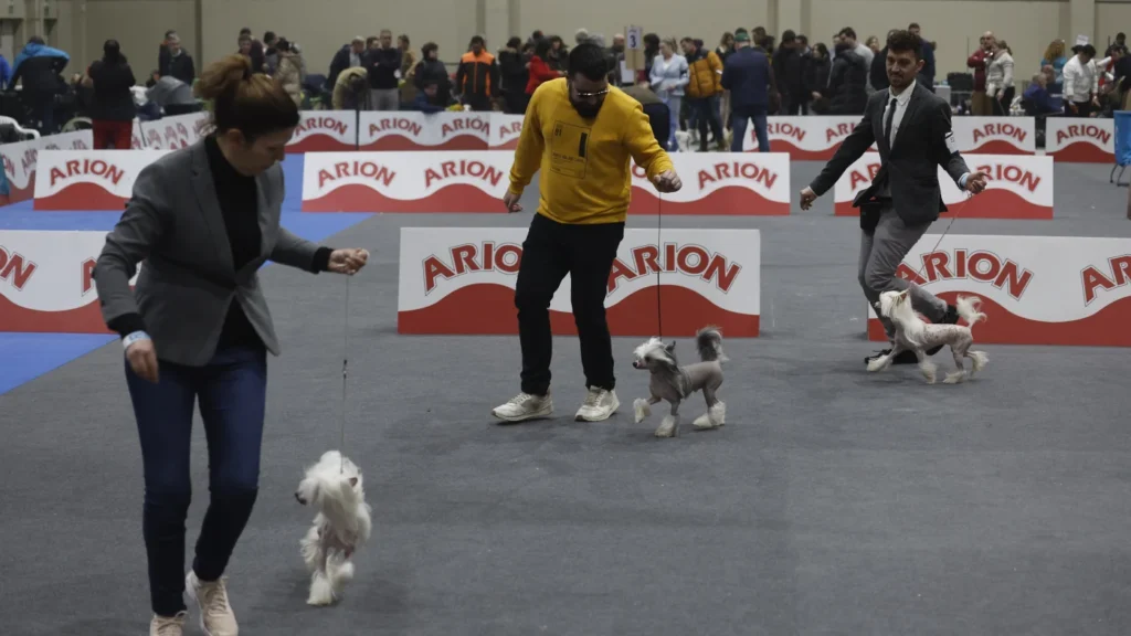 Expocanina Zaragoza