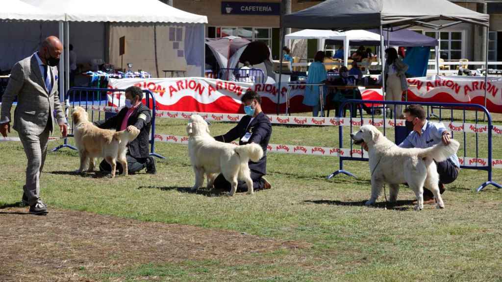 Semana Verde Galicia