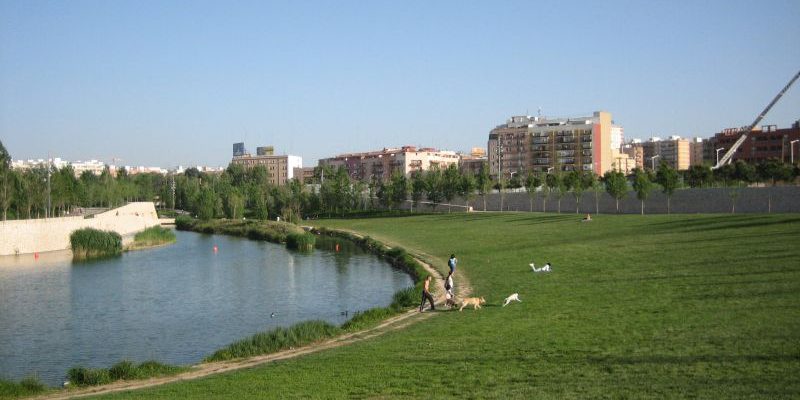 parque cabecera perros