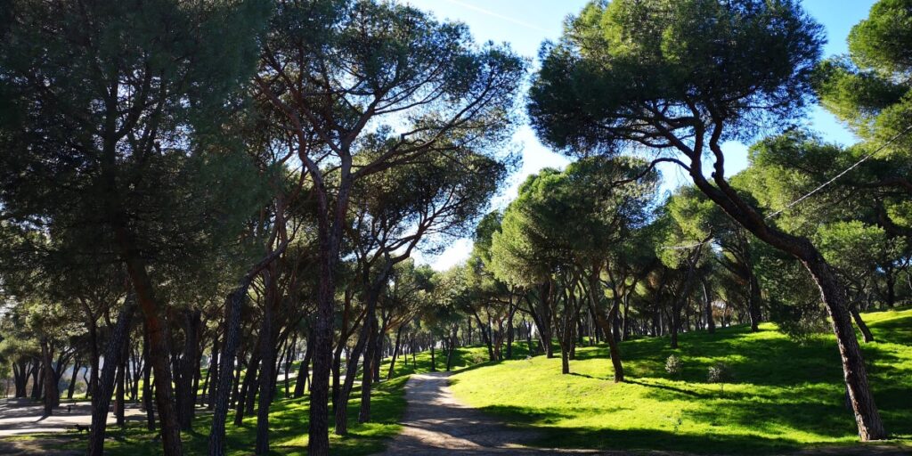 parque dehesa perros