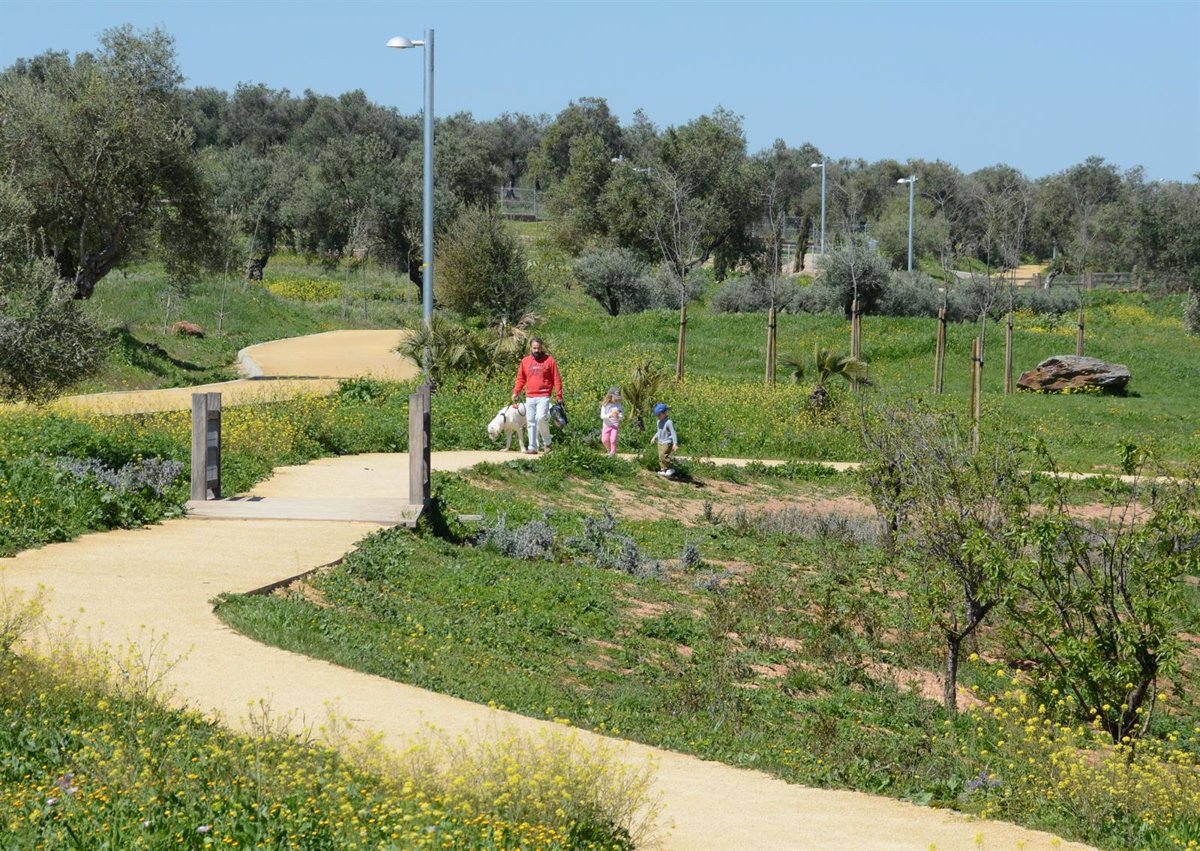parque olivar perros