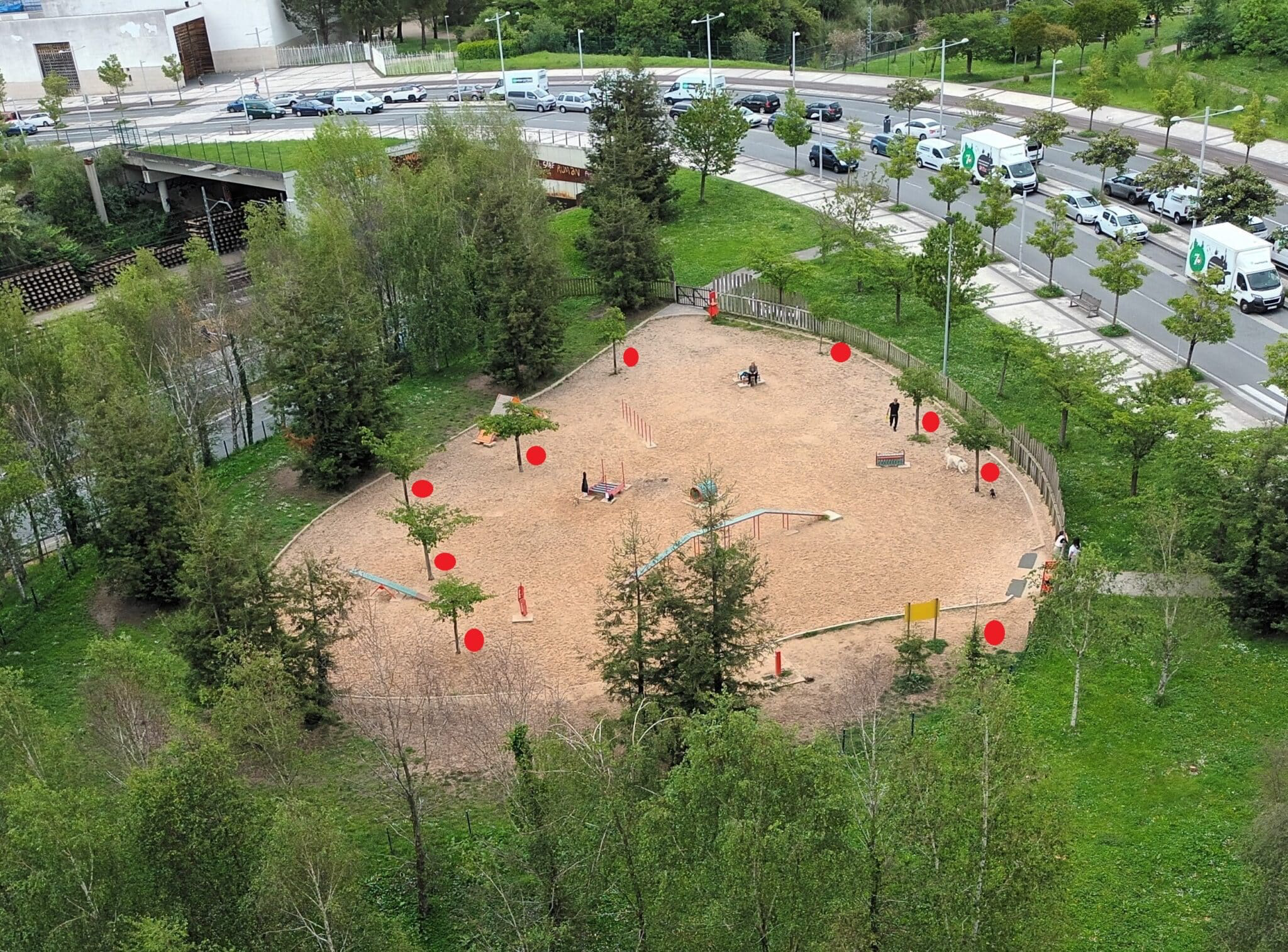 parque guau perros