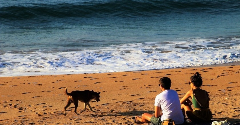 Playa de Agua de Agua Amarga Pets friendly