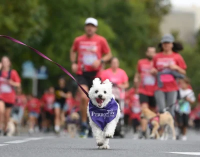 ¡Perrotón Madrid y los mejores eventos para mascotas en España este 2025!