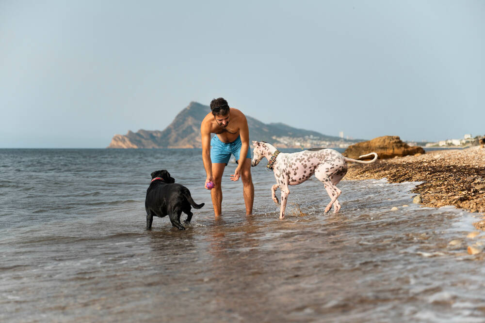 Playa Torre del mar pets friendly