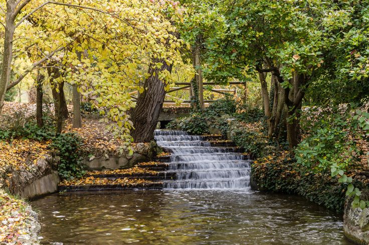 Parque del Oeste para perros Madrid
