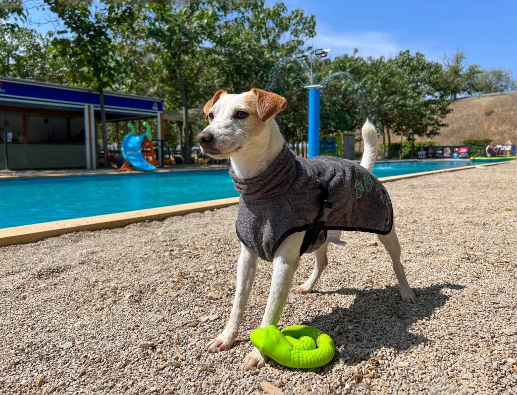 Simbiosis Park Miguelturra parque acuatico para perros