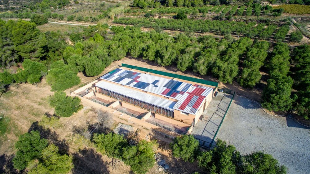 Residencia Canina y felina