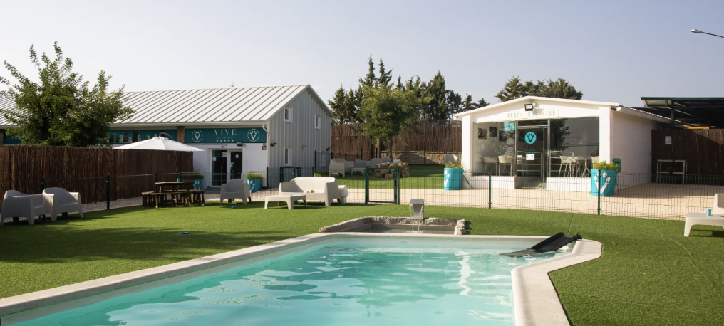 Vive Pet Resort parque acuatico para perros