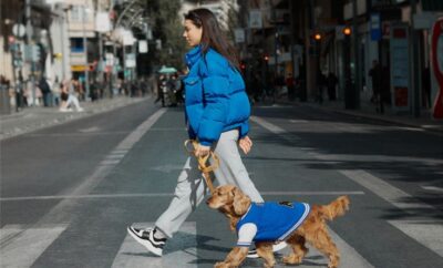 ¿Ansiedad? Los Perros de Apoyo Emocional Son Tu Mejor Terapia