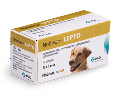 vacuna contra la leptospirosis