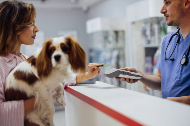 Hospital veterinario 24 horas