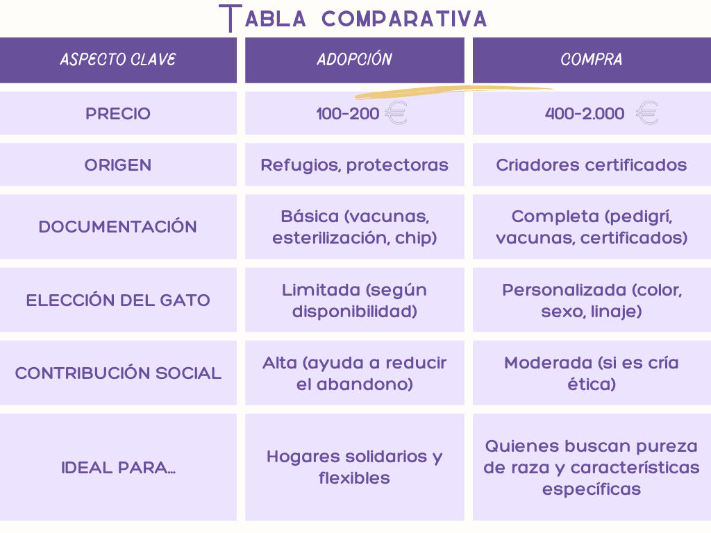 Comparativa adopción y compra de gato siames