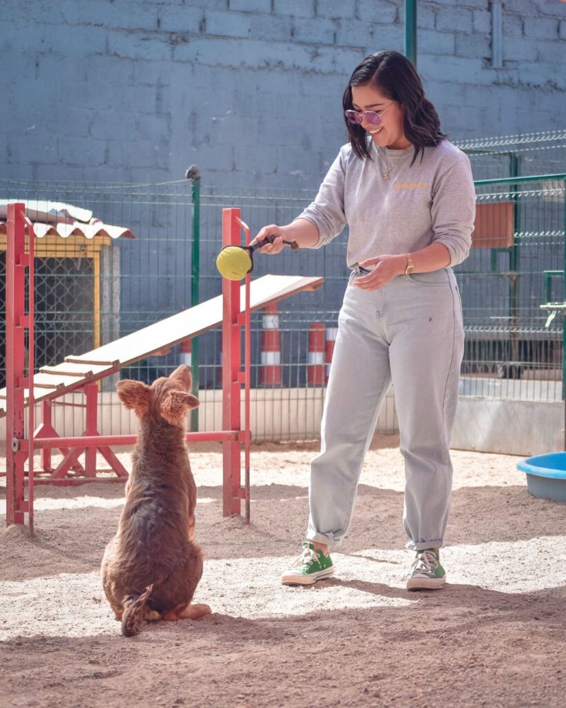 Beneficios del voluntariado