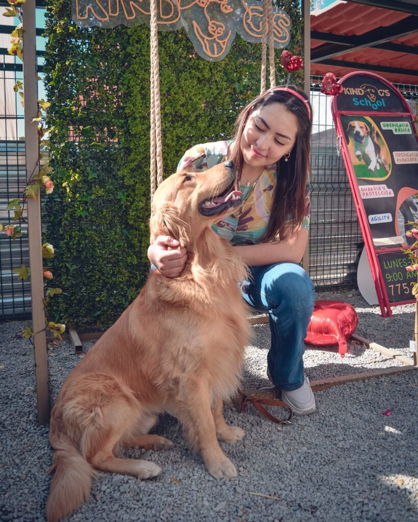 Quiero ser voluntario en refugio de animales