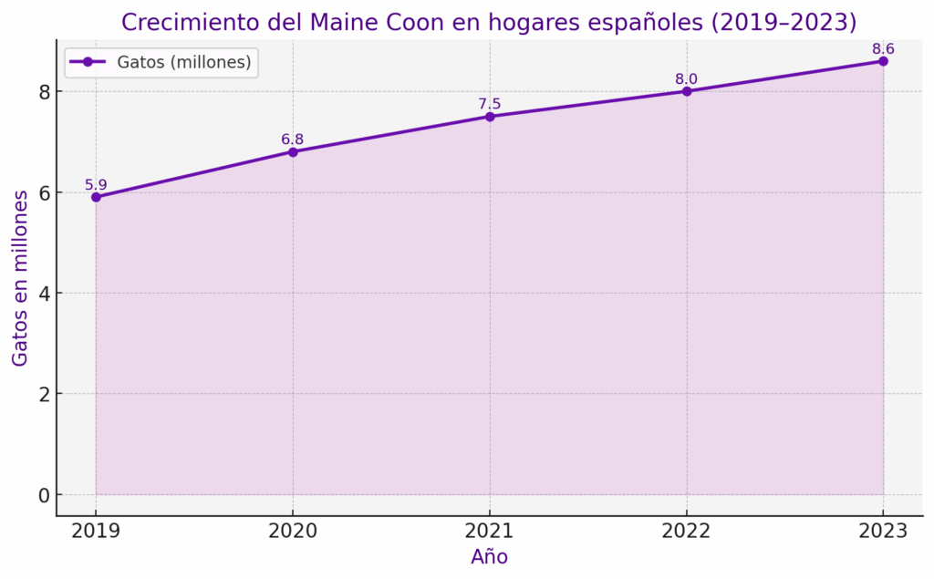 Crecimiento de Maine Coon en España