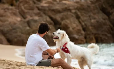 Campings Pet-Friendly en la Costa Brava más impresionantes