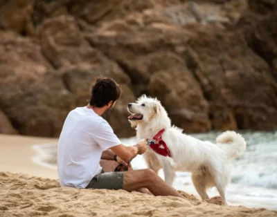 Campings Pet-Friendly en la Costa Brava más impresionantes