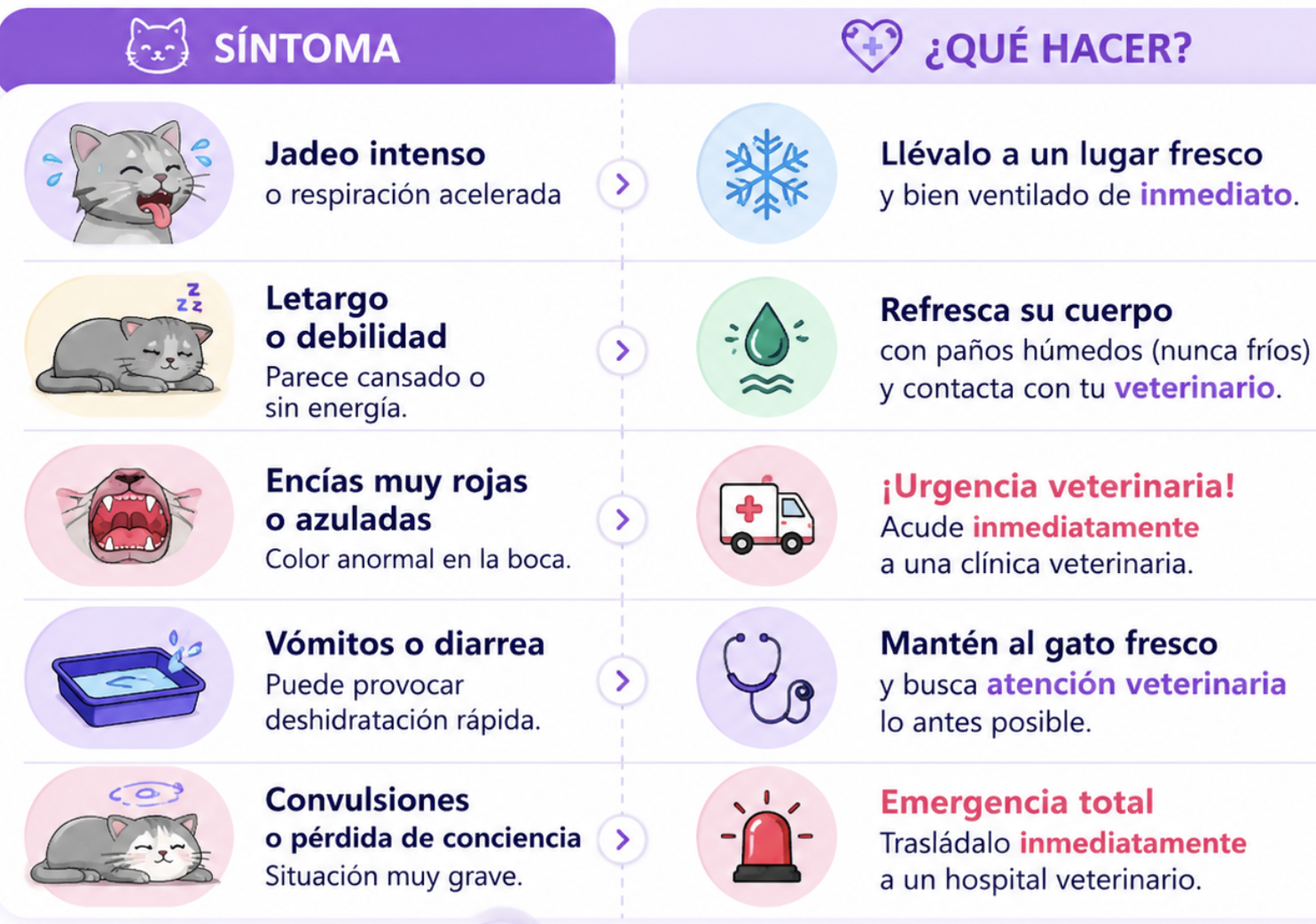 ¿Qué hacer según los síntomas?