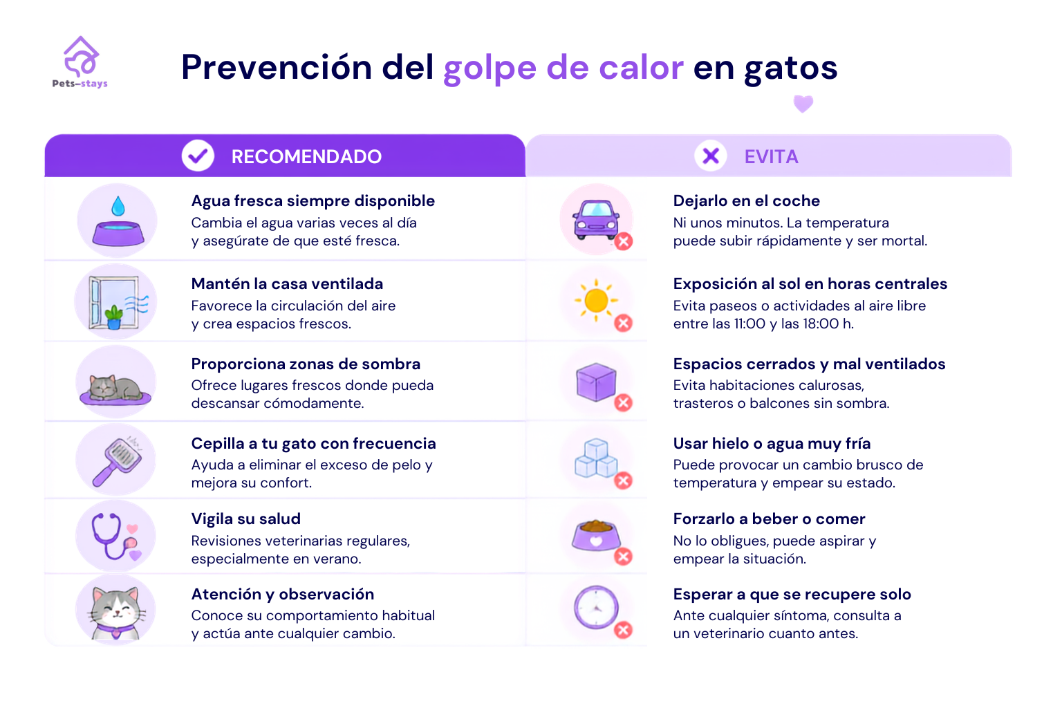 Prevención del golpe de calor en gatos