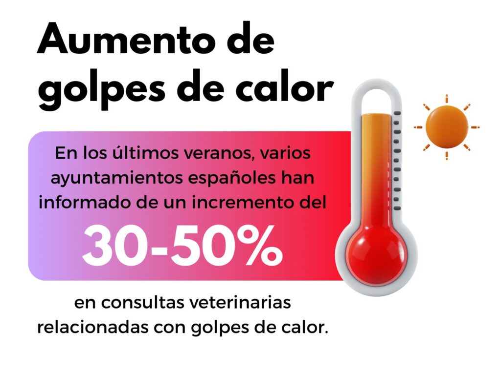 Datos importantes sobre golpes de calor