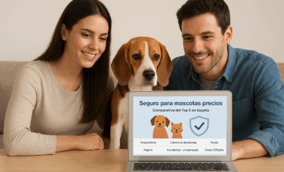 Seguro para Mascotas Precios: Comparativa del Top 5 en España