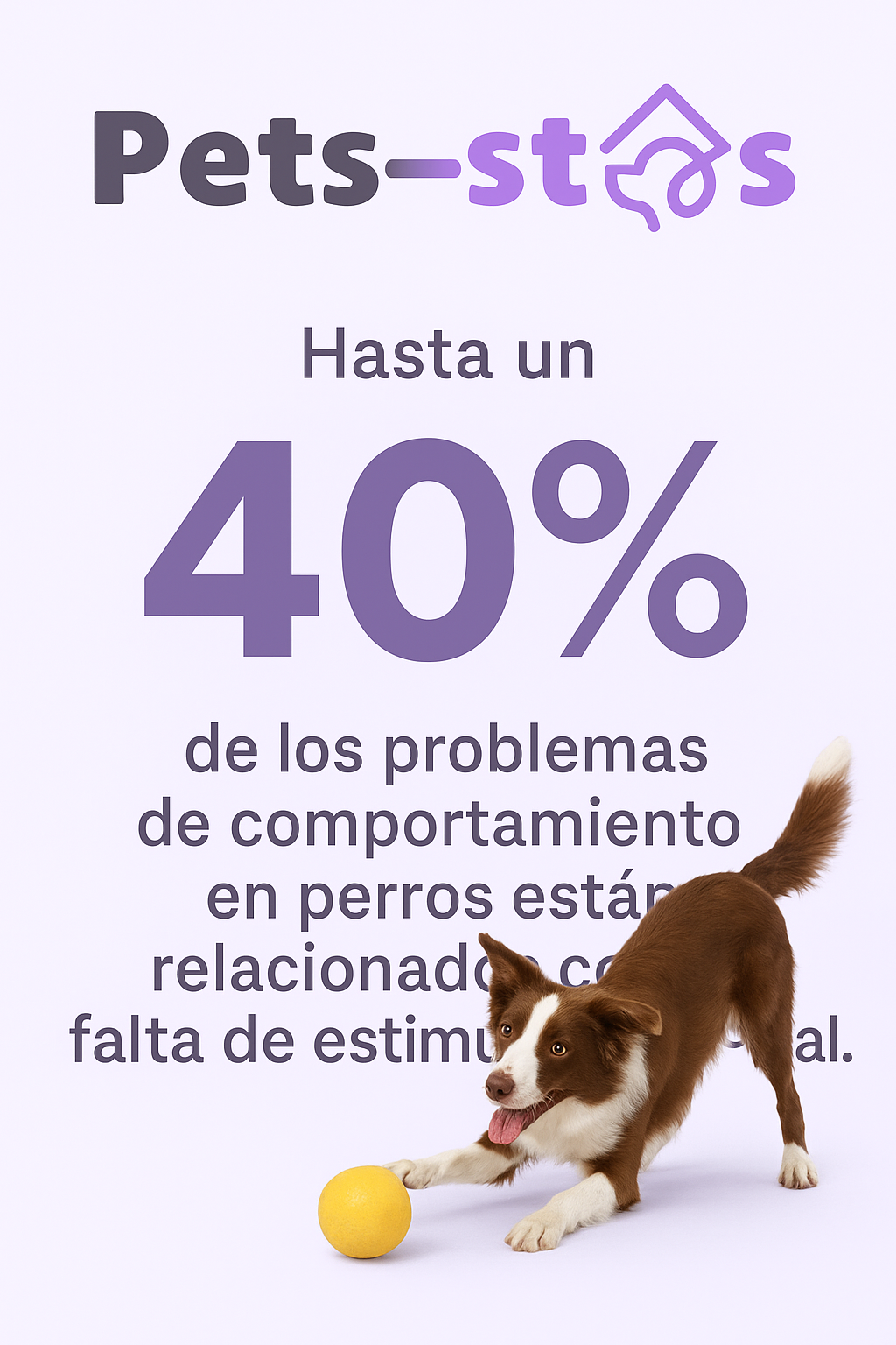 Estimulacion emocional en perros