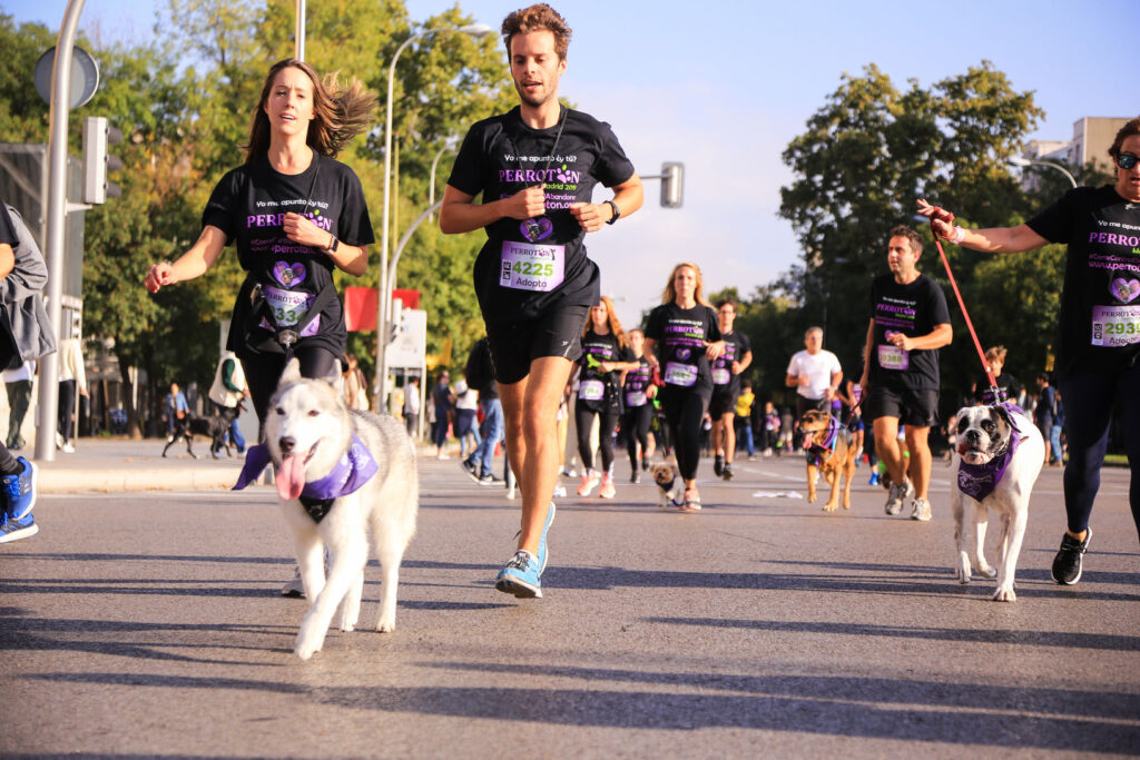 carrera de perros madrid 2025