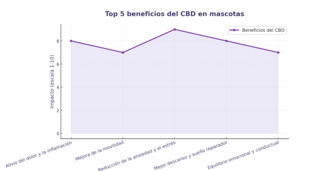 Beneficios del CBD EN MASCOTAS