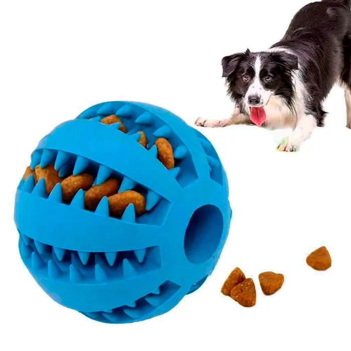 juegos mentales para perros caseros