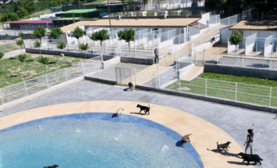 Hotel Caní El Vilà | Residencia Canina y Felina Barcelona