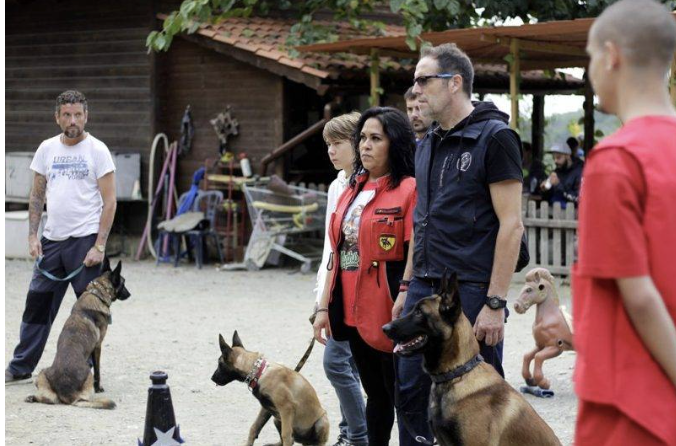 hotel para perros en la naturaleza