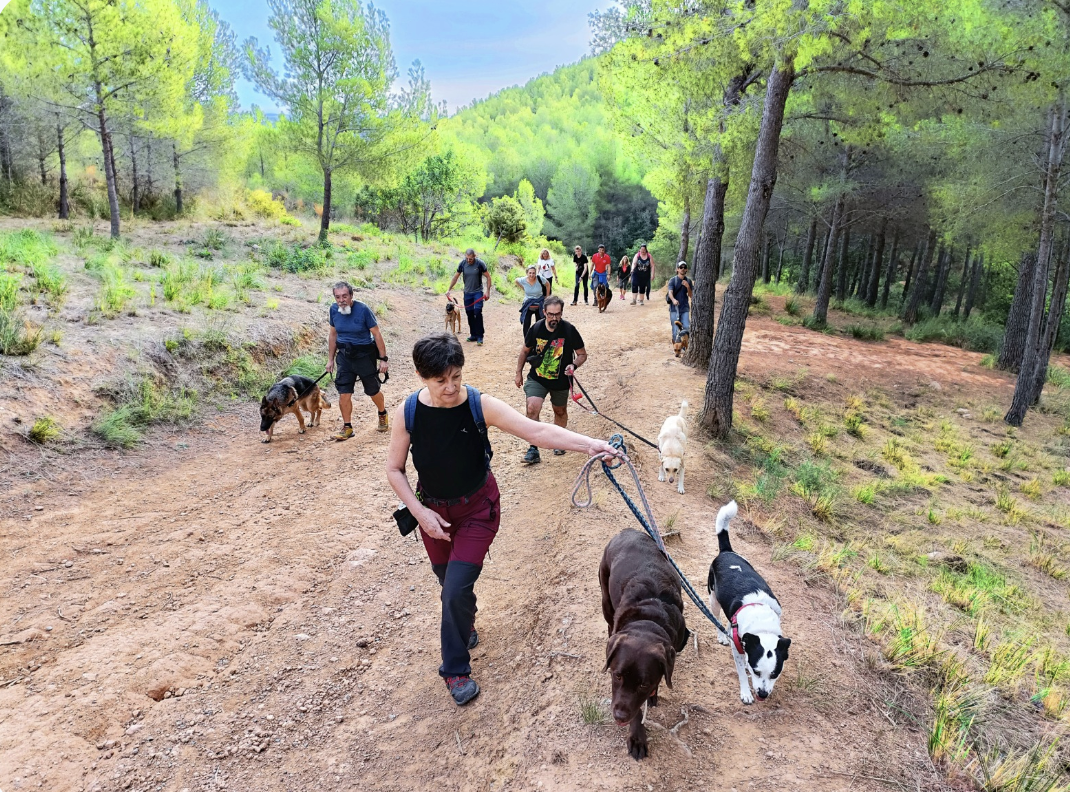 hotel para perros y gatos Barcelona