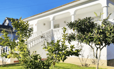 Murph & Co | Residencia para perros pequeños Barcelona