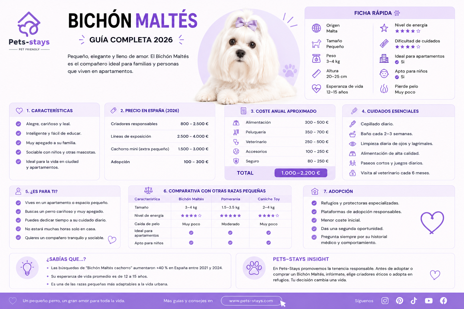 Guía completa del Bichón Maltés
