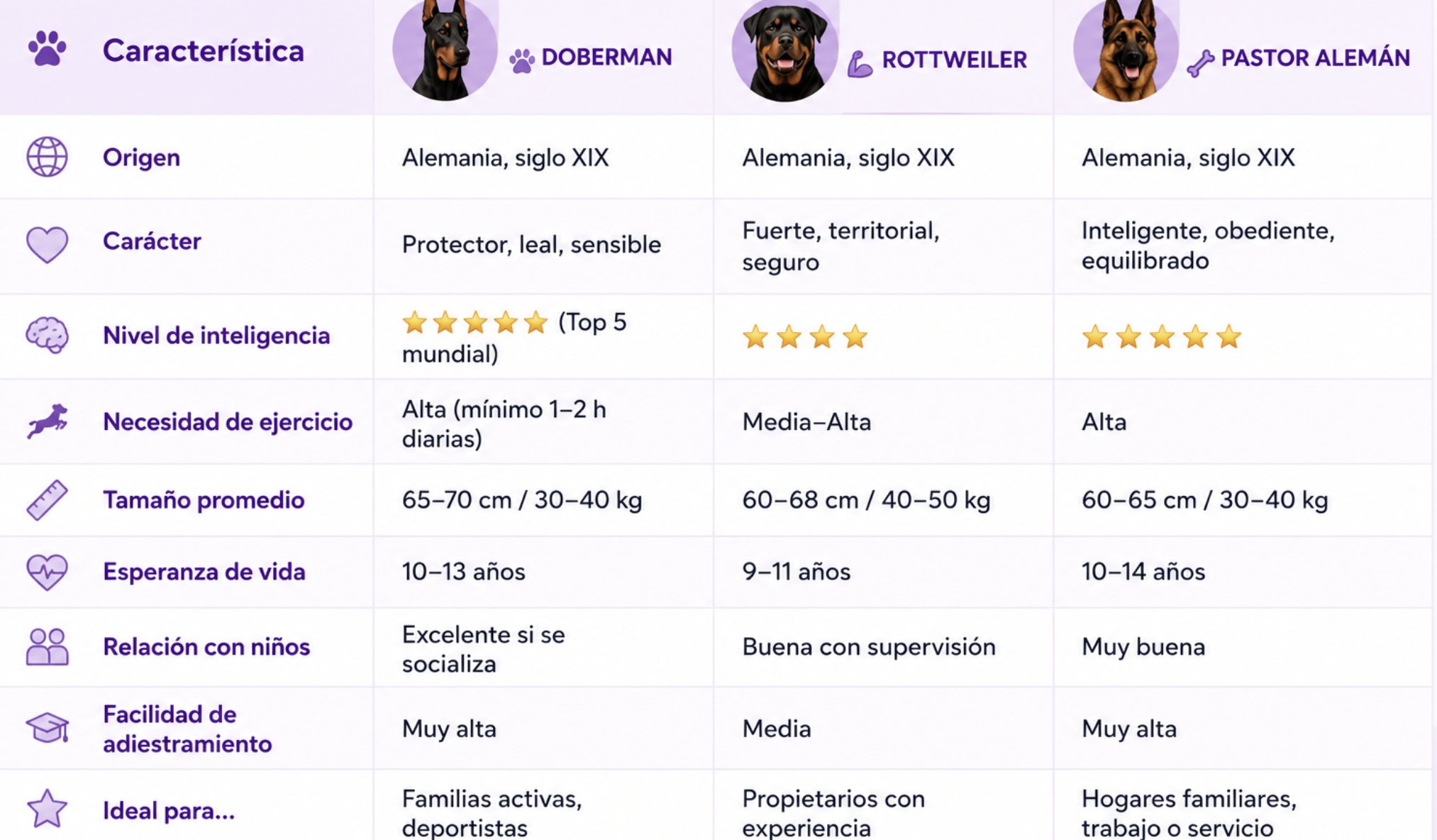 Comparativa: Doberman vs. Rottweiler vs. Pastor Alemán