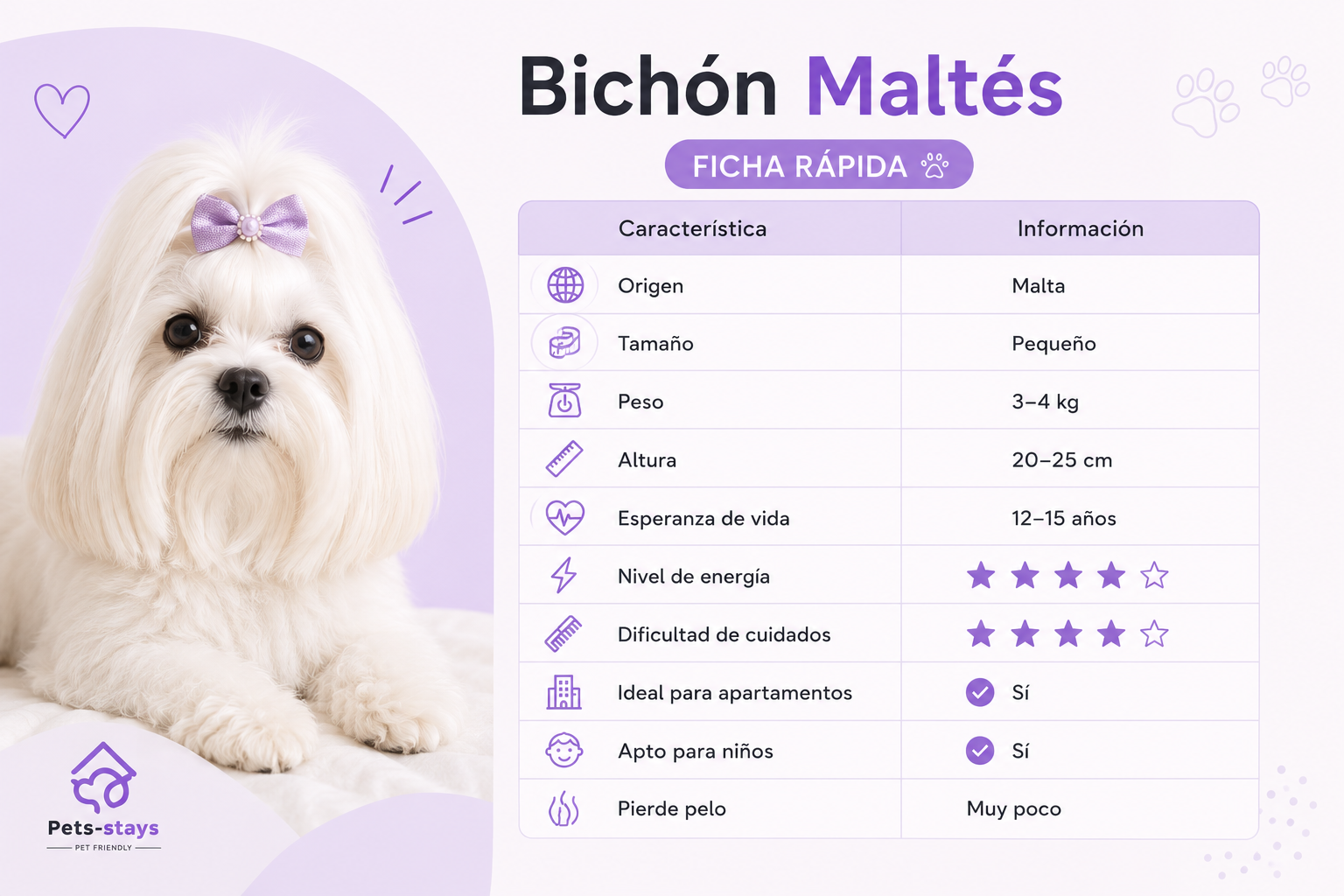 Ficha rápida del Bichón Maltés
