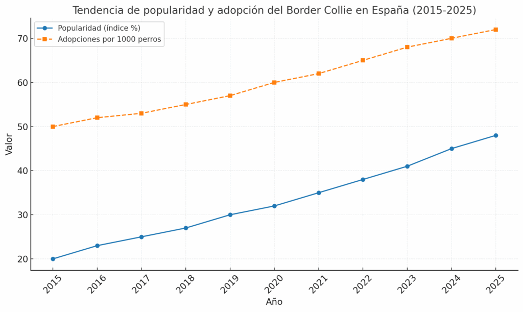 Tendencia en popularidad y adopcion del Border Collie