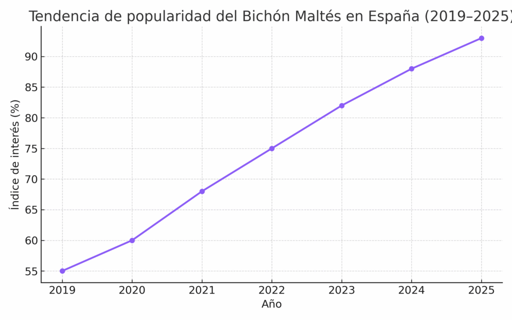 Tendencia de popularidad de bichon maltes